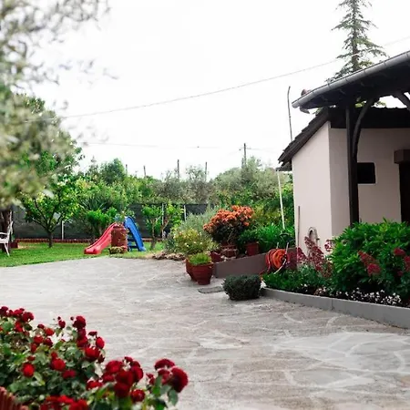 Red Roses-traditional House *