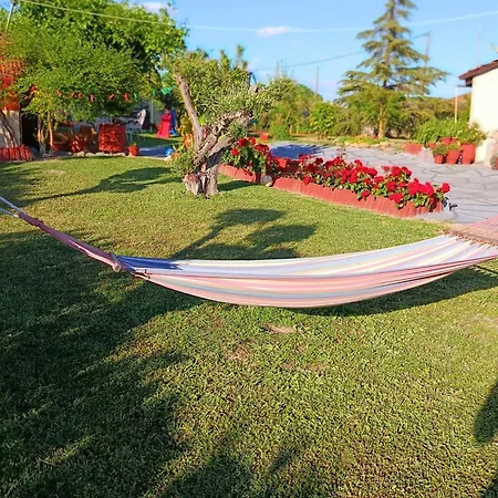 Red Roses-traditional House Hébergement de vacances